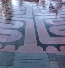 Mary & Al Schneider Healing Garden, Seidman Cancer Center, University Hospitals