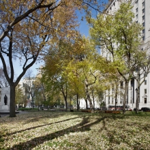 Reamenagement et mise en valeur du Square Dorchester et de la place du Canada