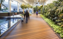 Devonian Gardens