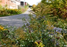 West Toronto Railpath