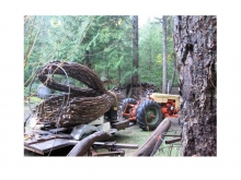 SFU UniverCity Childcare