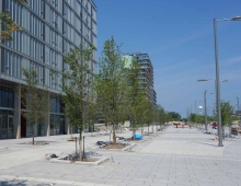 Front Street Construction - Showcasing a street as a linear park with robust pla