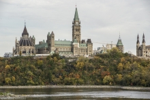 Iconic image of Parliament Hill - forest beginning to envelop the stairs to return slope to wilderness