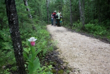 Section of granular trail with Pink Ladyslipper Orchid in foreground.