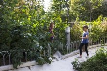 Native plants support exploration, learning, and play while promoting biodiversi