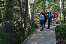 Hexagonal deck section with bench and interpretive signage adjacent to 10-ton erratic boulder in upland forest.