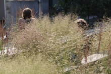 The WY Garden provides a pleasant and warm welcome already at the entrance.