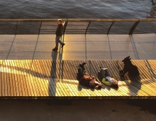 View of Megabench from Polygon Gallery balcony, autumn sunset