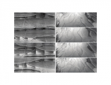 Water surface video stills