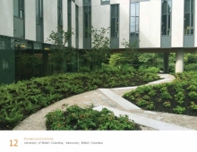 Native plantings within the Courtyard of the North building