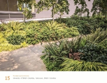 Plantings within the Courtyard of the South building
