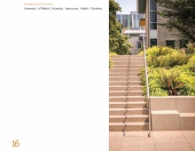 Stairs and plantings within the Courtyard of the South building