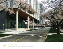 Heritage and newly planted cherry trees in bloom along Lower Mall