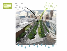 Exemplary environmental project: In addition to reducing the heat island effect and retaining more than the 80th percentile of rain events, the tree cover will sequester 233 tonnes of CO2 and intercept more than 21 million liters of rain over the next 25 years.